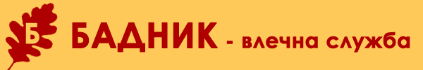 logo Badnik